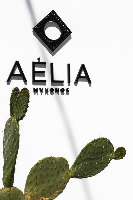 ホテル Aelia Mykonos オルノス エクステリア 写真